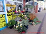 Profilflore großes Angebot an Blumen und im Winter Gestecke