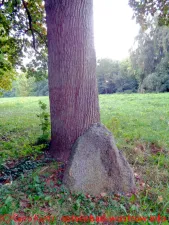 Fritz Reuter Stein