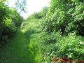 Rodelberg Ostseebad Wustrow - Weg auf dem Rodelberg