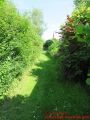 Rodelberg Ostseebad Wustrow - Rasenweg
