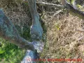 Skulpturenpark Wustrow - Dünner Mann aus Bronze