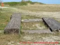 Skulpturenpark Wustrow - Kunstwerk aus Holz