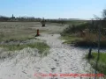 Skulpturenpark Wustrow - zwei Säulen in Strandnähe