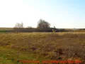 Skulpturenpark Wustrow - aus der Ferne