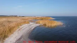 Strand mit Blick Richtung Althagen