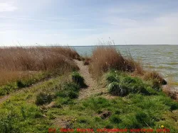 Weg zum verborgenen Boddenstrand - Anfang des Weges