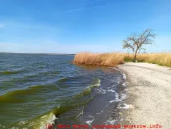 erster Strand in Barnstorf 02