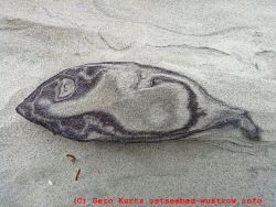 Fisch aus Sand am Wustrower Strand