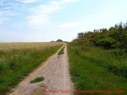 Blick zum Bakelberg