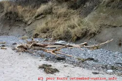 Holz am Hohen Ufer