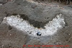 Kreideader