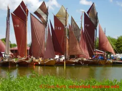 Zeesen in Wustrow