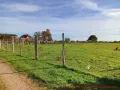 Hundeauslaufplatz -
