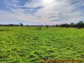 Hundeauslaufplatz -