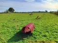 Hundeauslaufplatz -