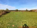 Hundeauslaufplatz -