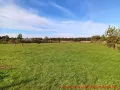 Hundeauslaufplatz -