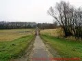 Ostseebad Wustrow verlängerte Parkstraße - Blick vom Deich
