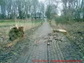 Ostseebad Wustrow verlängerte Parkstraße - angehobener Gehweg