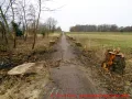 Ostseebad Wustrow verlängerte Parkstraße - Baumstümpfe