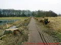 Ostseebad Wustrow verlängerte Parkstraße - Blick Richtung Park